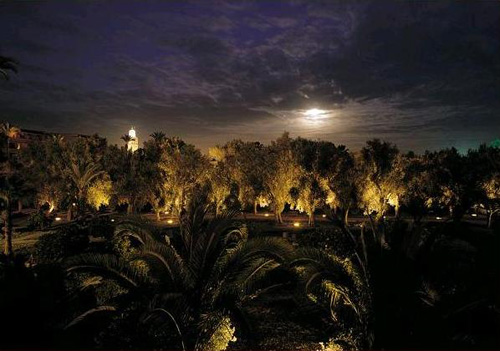 View from La Mamounia